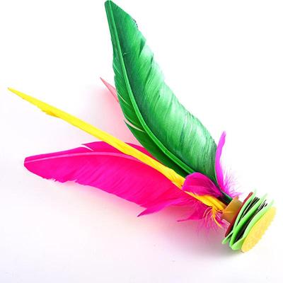Volant en plumes coloré et amovible
