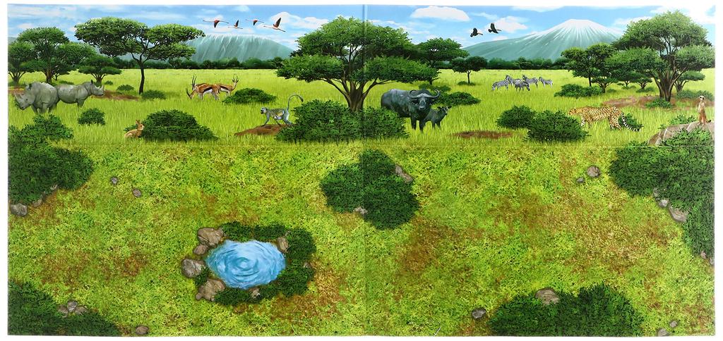 Ania Savannah Popular Animal Set AG-01