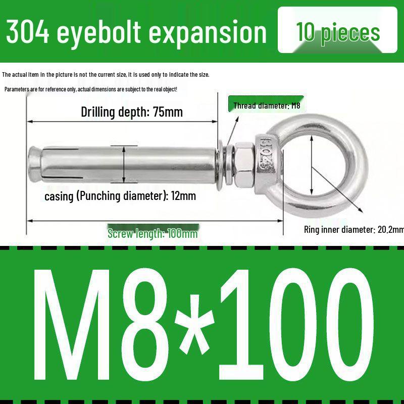 Stainless Steel 304 Eyebolt Expansion Nail with Fixing Loop