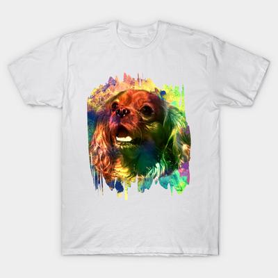 Üst Kıyafetler – T-shirtler