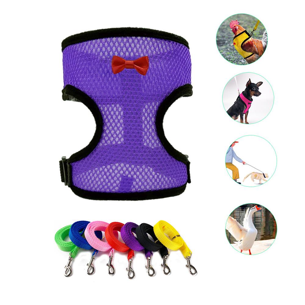 Nylon Duck Goose Poultry Supplies Hen Belt Chicken Vest Harness Pet Matching Collars Bow