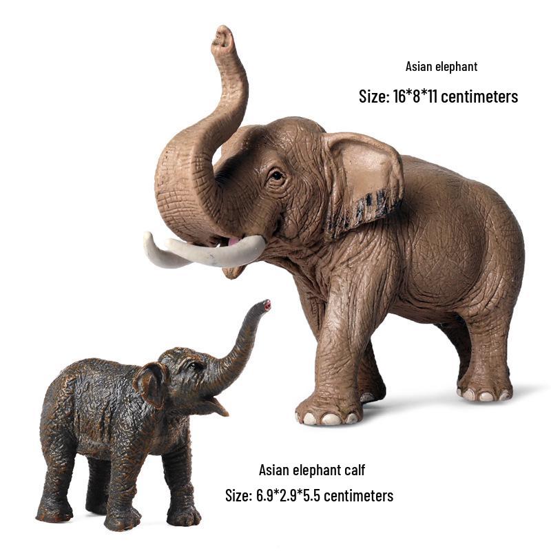 Wild Safari Animal Figurines: Giraffe, Elephant, Rhinoceros, Brown Bear, Tiger, Lion, Leopard, Hippopotamus - Solid Cognitive Toys