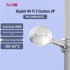 Ruijie RG-EAP662(G) WiFi 6 Outdoor Wireless AP