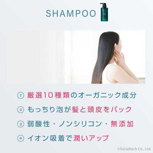 Bio Lucia Organic Shampoo 300mL x 1 Treatment 200g x 1 Bottle Shampoo Treatment Set Amino Acid Shampoo Popular Scalp Care Non-Silicon Weakly Acidic Fo