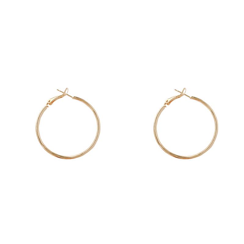 Exaggerated Hoop Earrings - European & American Cold Style, 925 Silver Needle, All-Match Metal Ear Jewelry for Women