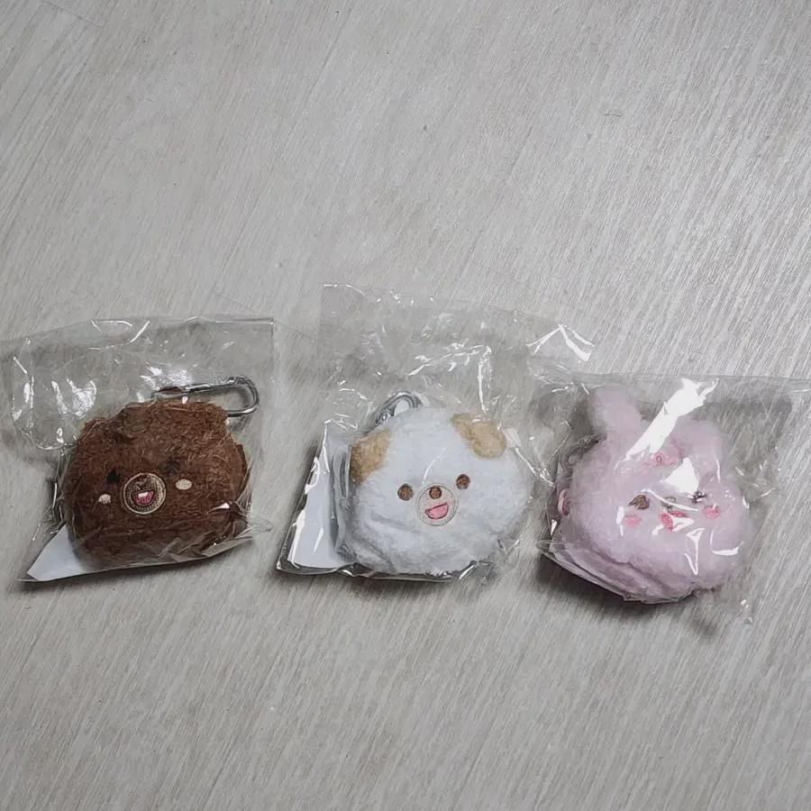 

Day6 Perfect Backpack Room, Phil, Don