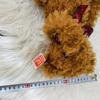 [USED] GUND Teddy Bear Plush Toy with Mouth and Nose Magnets