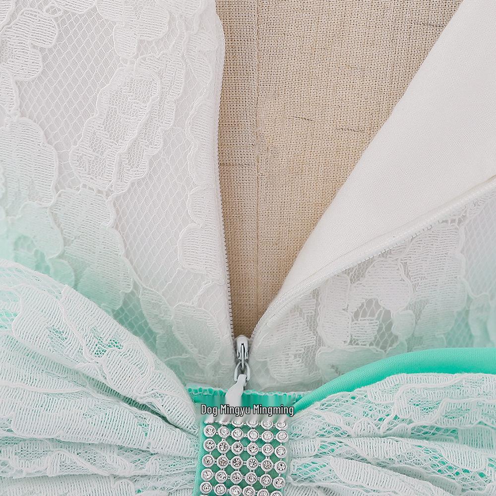 Infant Girls' First Birthday Lace Princess Dress with Bow