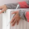 2 buc. Tuburi Încălzitor Electric Tub Ceramic Încălzire Rapidă la Temperatură Înaltă Căldură Uniformă Fiabilitate Piesă de Schimb Bec Încălzitor