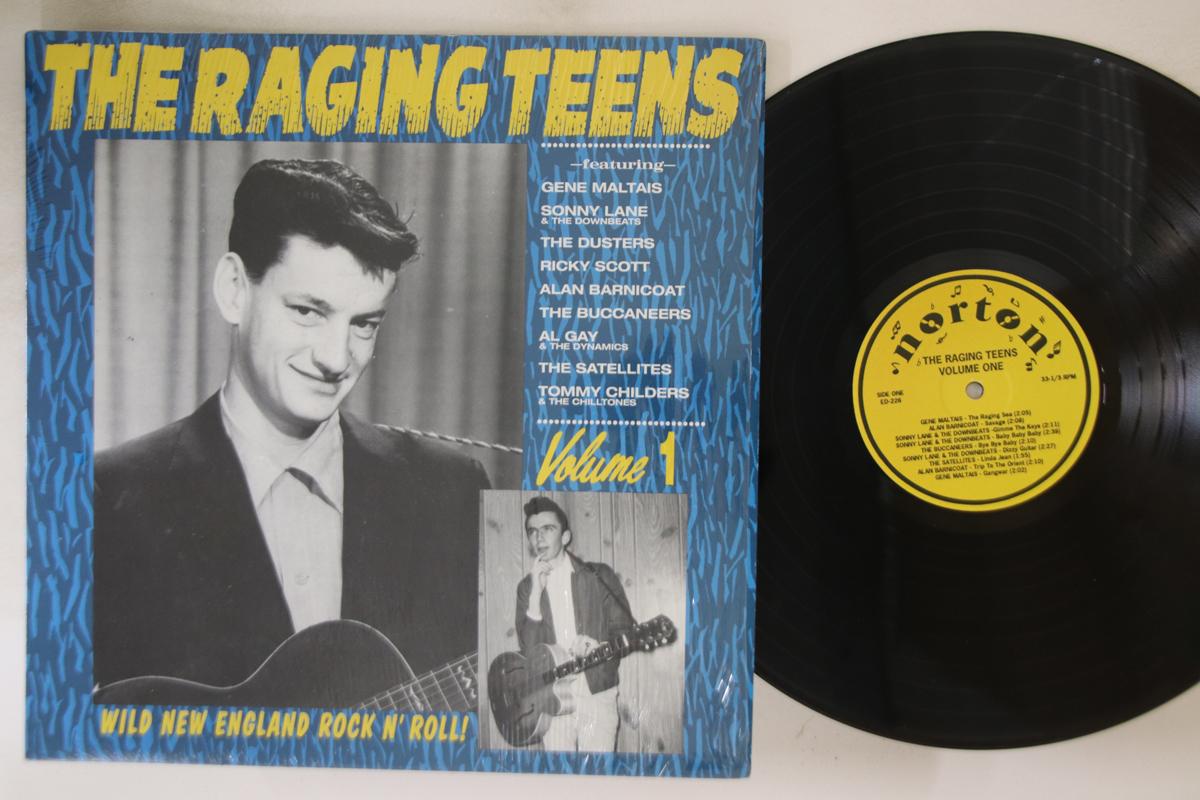 

LP Record VARIOUS - Raging Teens Volume 1 ED226 NORTON 1992 US Rock Used