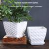 Elegant White Ceramic Flower Pot with Tray - Ideal for Ivy, Spider Plants, and Succulents