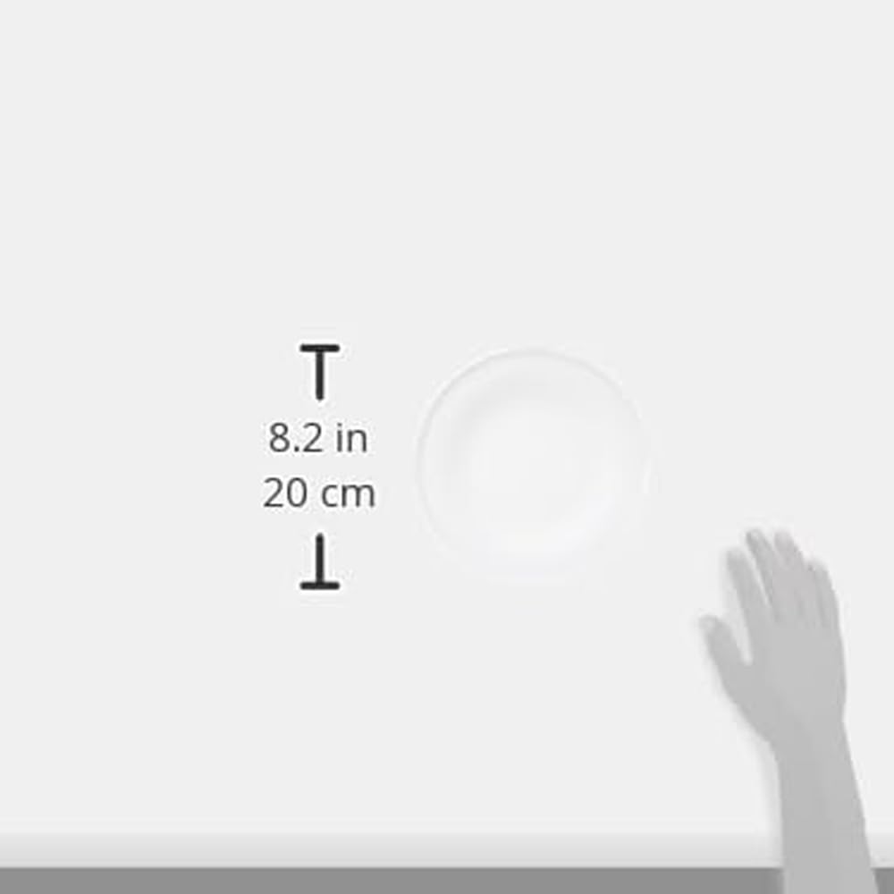 NARUMI Waltz Plate, 20cm, White, Simple and Stylish, Rimmed, Microwave-Safe, Dishwasher-Safe, 52215-6019