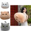 Soft And Cuddly Black Cat Plush Toy For Kids Super Cute And Adorable!