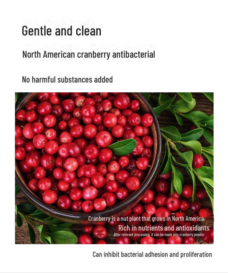 North American Cranberry Antibacterial Pet Dishwashing Mousse - Contact-Free, Long-Lasting Bubbles