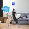 Pet Cat Interactive Glowing Ball Portable Colorful Mini Running Exercise Ball Toys Exquisite Gifts