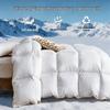 Nanjiren 100% White Goose Feather Fiber Winter Comforter