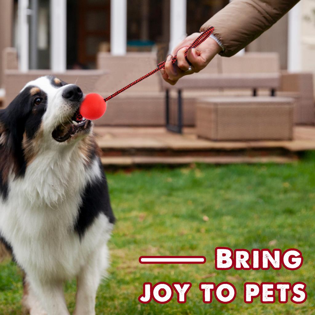 4 Pieces Dog Rope Ball Dog Ball On A Rope, Durable Elastic Solid Rubber Balls Interactive Rubber Ball Chew Toys For Small Medium