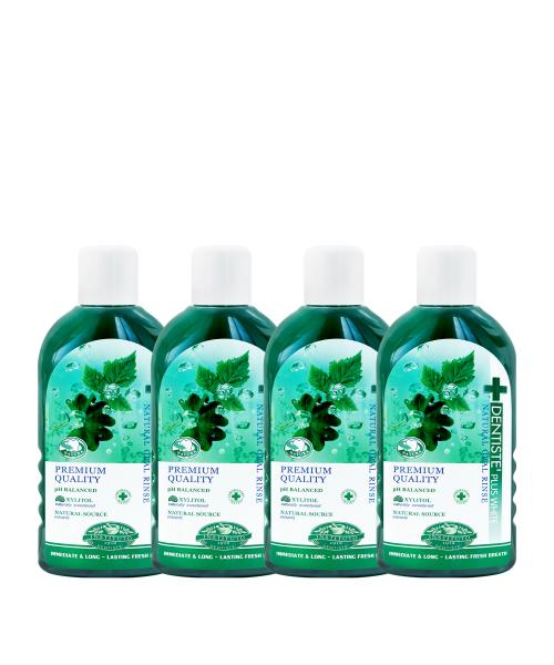 Dentiste Natural Oral Rinse 700ml x 4