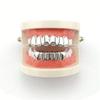 Smooth Six-Tooth Canine Hip Hop Teeth Grill - European and American Style