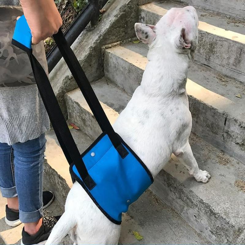 Kjæledyrhund Hjelpebelte Bånd Hjelpefunksjonshemmet Eldre Brystsele Reisebelte Håndtrekk Brystsele