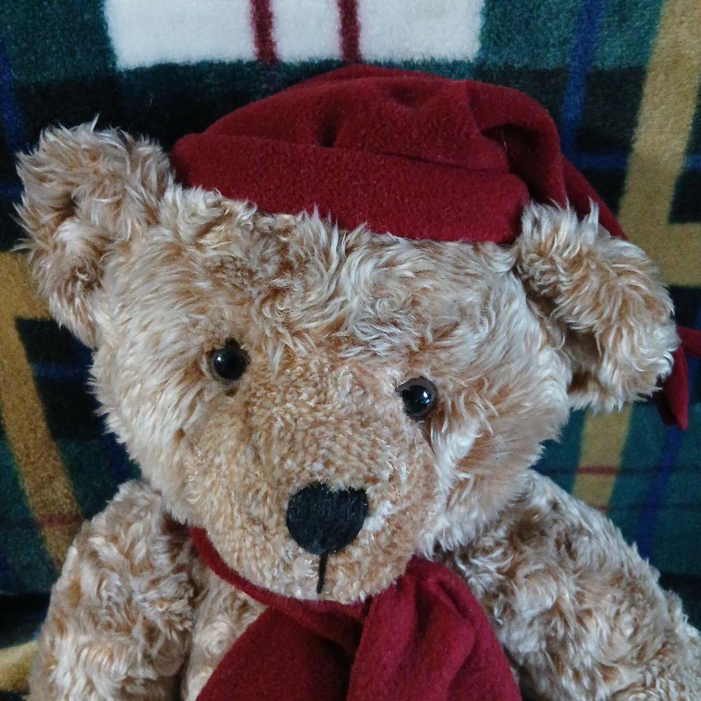 [USED] Harrods Teddy Bear 1999 Price Reduction