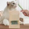 Cat Grass Sticks Natural Pet Grass Snacks Molar Rod Catnip Toys Cat Kitten Hairball Removal Pet cat grass stick