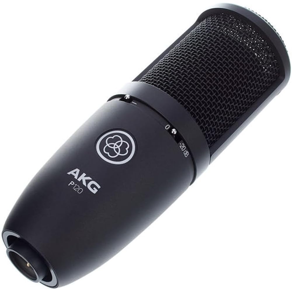 AKG (Arker Game) P120 Project Studio Line [Ideal for Vocal/instrument Recording, Durable All-meta...