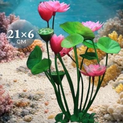 Peces y mascotas acuáticas – Decoración de peceras