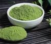 250g Organic A++ GRADE Barley Grass Powder 250G-The Best Barley