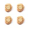 Desktop Decor with Realistic Dinosaur Fossil Miniatures Set of 4 for Unique DIY Projects