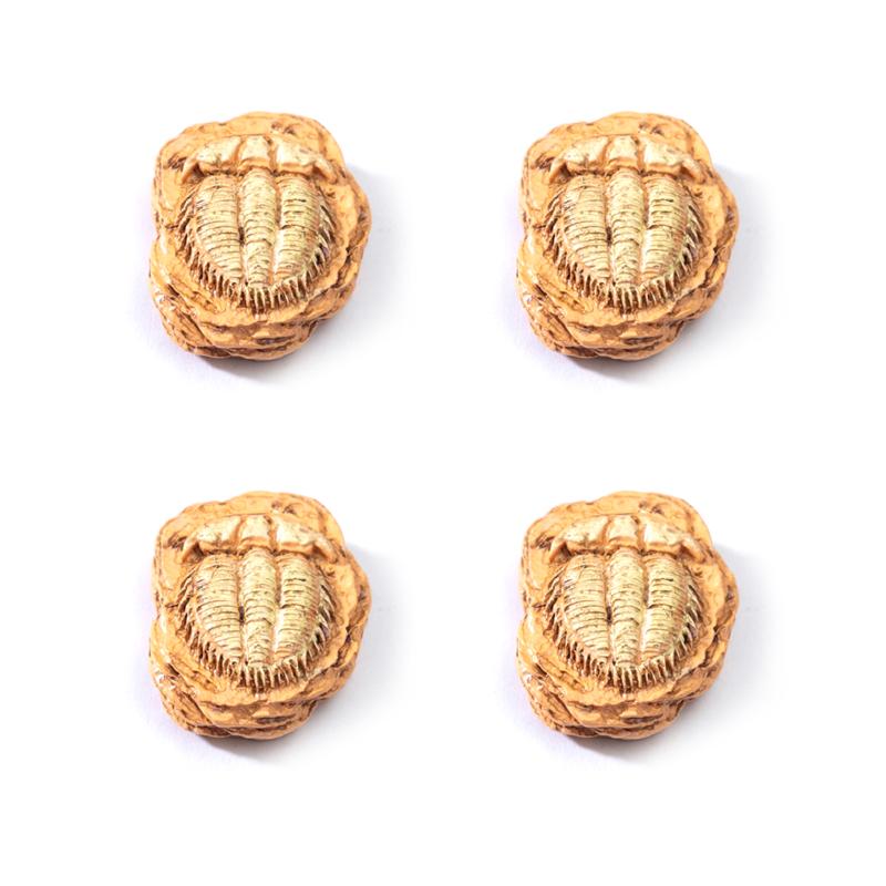 Desktop Decor with Realistic Dinosaur Fossil Miniatures Set of 4 for Unique DIY Projects