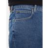 Lee Asher Shorts