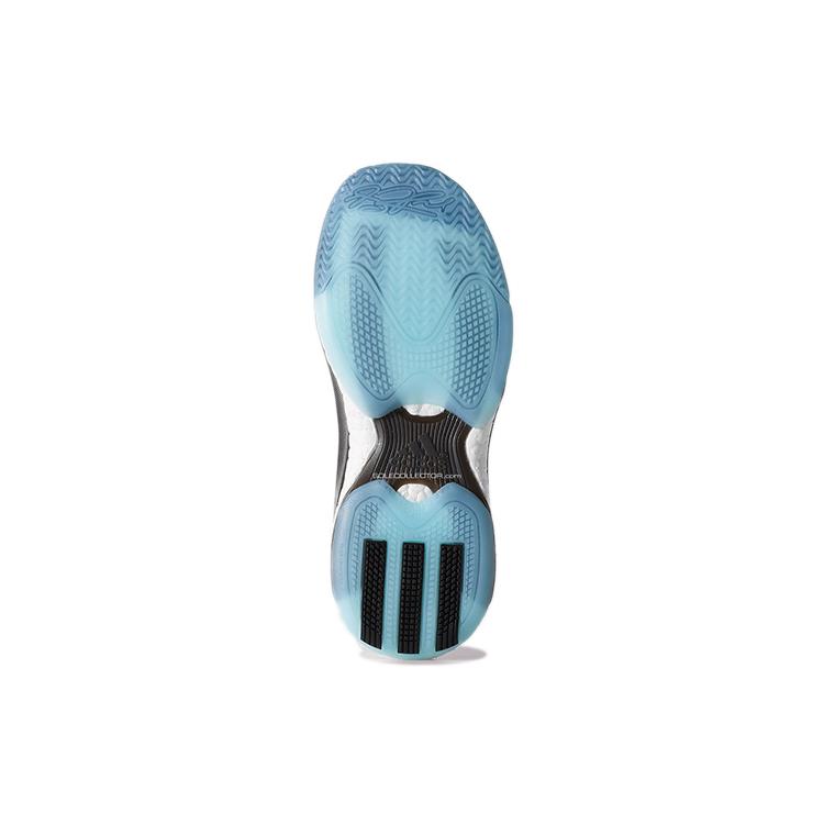 Adidas D Rose 5 Boost C76546