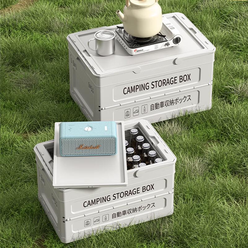 ZISIZ Foldable Outdoor Storage Box