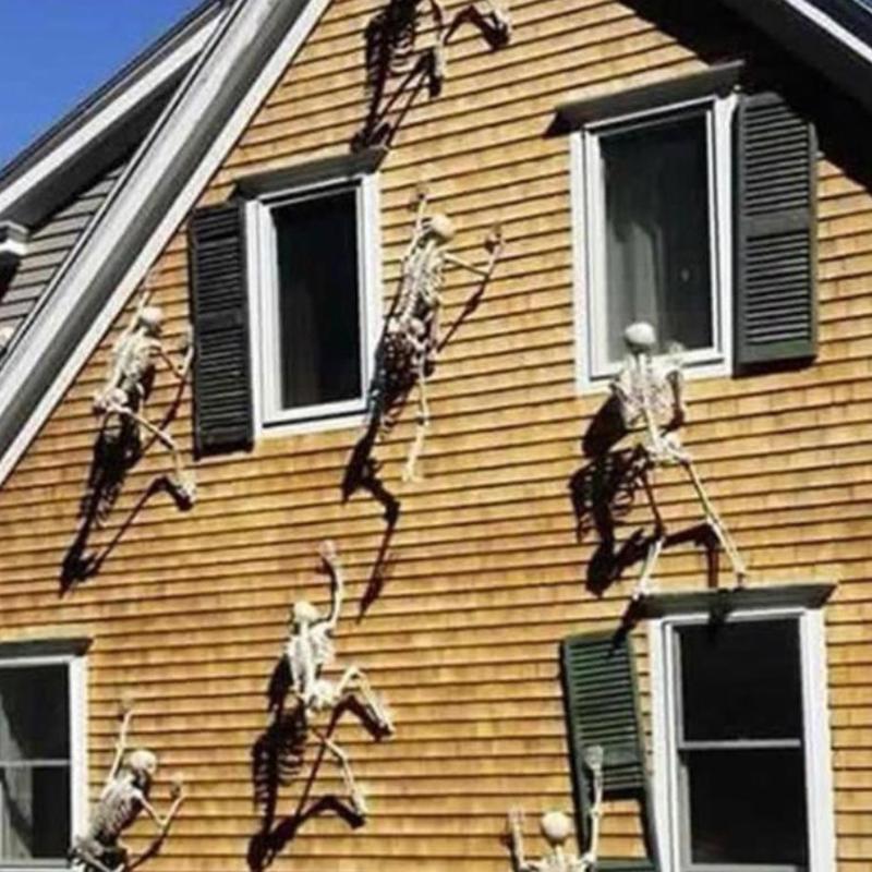 32/90/150Cm Pozabil Schelet uman Decorat de Halloween Prop