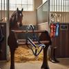 Padded Horse Halter AntiRub Equine Prevents Rubs Headcollar for Leading, Training,