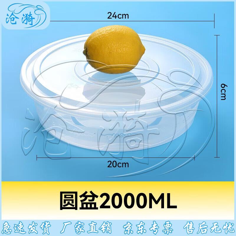 Cangyi Disposable PP Takeaway Food Containers with Lids