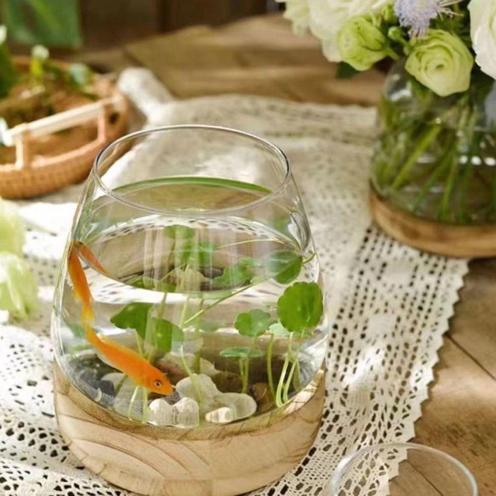 Round Transparent Glass Fish Tank Simple Glass Planter Hydroponic Vase  Office