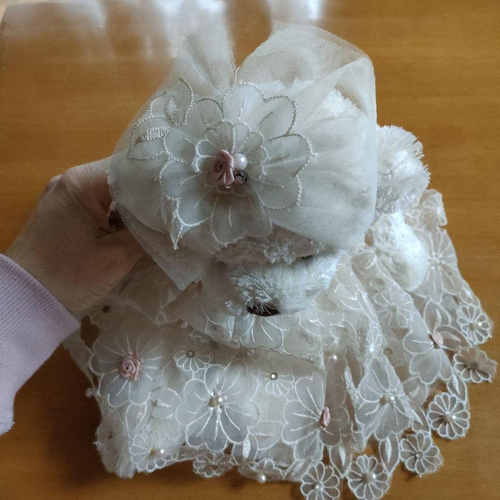 [USED] Elegant Teddy Bear Plush Toy