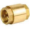 Fanguang DN15 Brass Vertical Spring Check Valve
