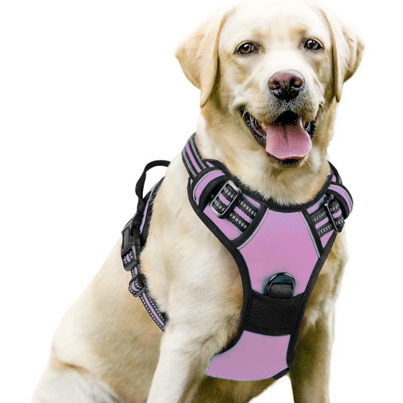 Dog Nylon Chest Harness and Leash for Large Pets