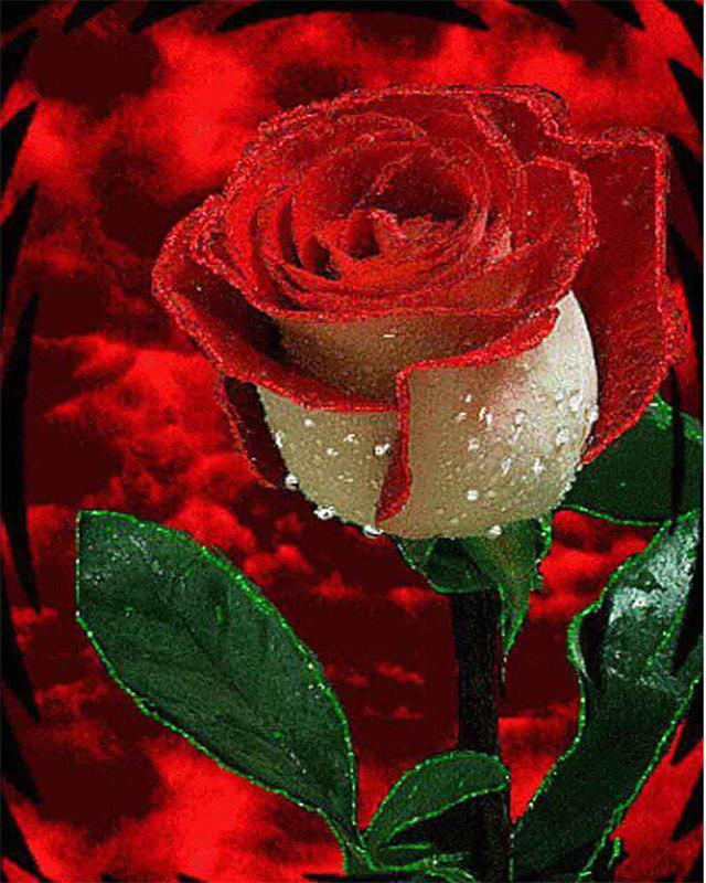 

5D Алмазний живопис Квіти Повне свердло Квадрат Кругла рукоділля Мистецтво Алмазна вишивка Пейзаж Мозаїка Рослина Домашній декор Full Square 50X70CM зелений