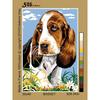 Antique Basset Canvas 30x40cm