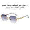 Leopard Motif Geometric Sunglasses With Uv400 Protection For Outdoor Fashion And Travel