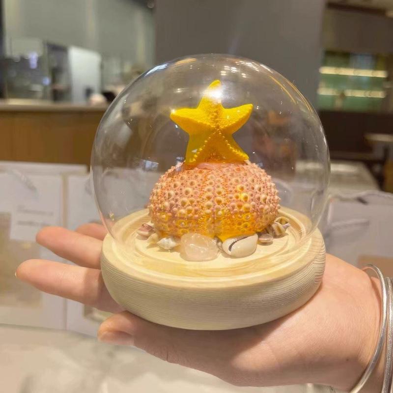 Sea Urchin Shell Jellyfish Night Light: Heart-Shaped Ornament for Mother's Day or Birthday