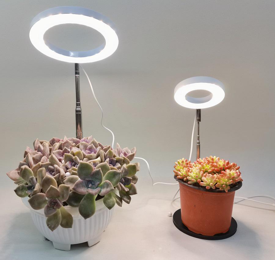 LED Telescopic Plant Growth Lamp: Angel Ring Full Spectrum Red & Blue Light for Succulents & Flowers