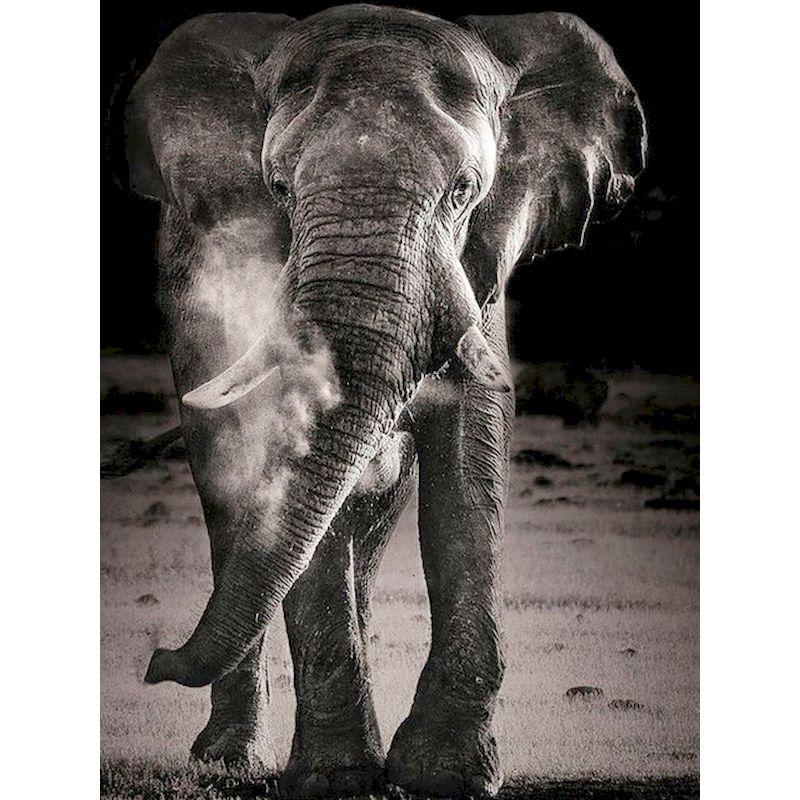 Full Round Handmade Diamond Mosaic Elephant Diamond Embroidery Animals Art Painting Crafts Needlework Home  Decoratio