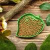 Leaf Reptile Food Water Bowl Reptile Food Water Bowl Tortoise Habitat Accessories Water Plate For Turtle Lizards Hermit Crab