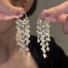 Shiny White Crystal Tassel Earrings for Women Personality Fashion Summer Accessories Party Zircon Birthday Anniversary Gifts