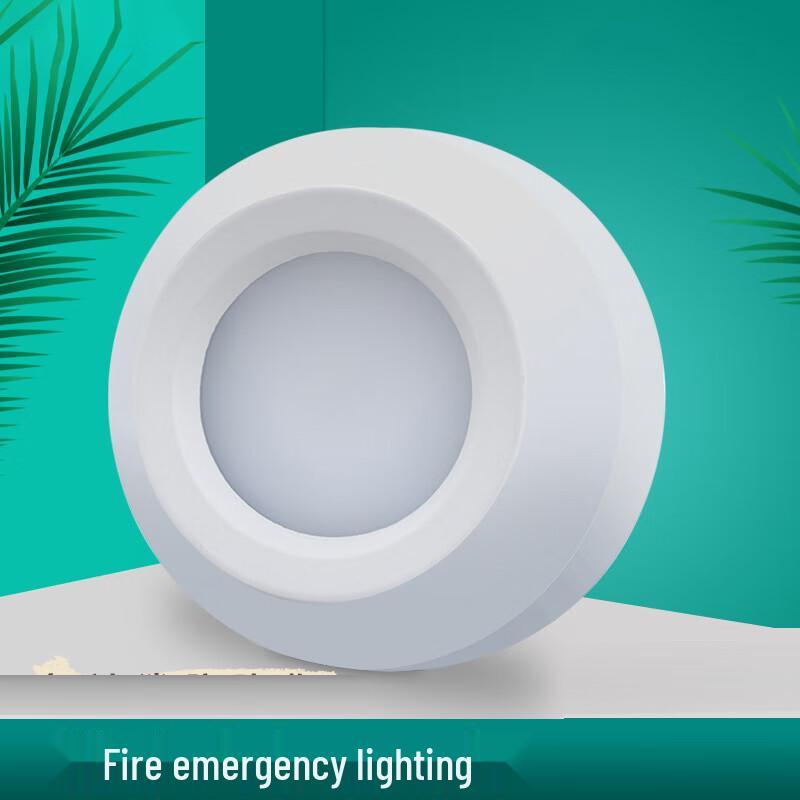 Si Yi An Xing Fu Smart Ceiling-Mounted Fire Emergency LED Light Standard